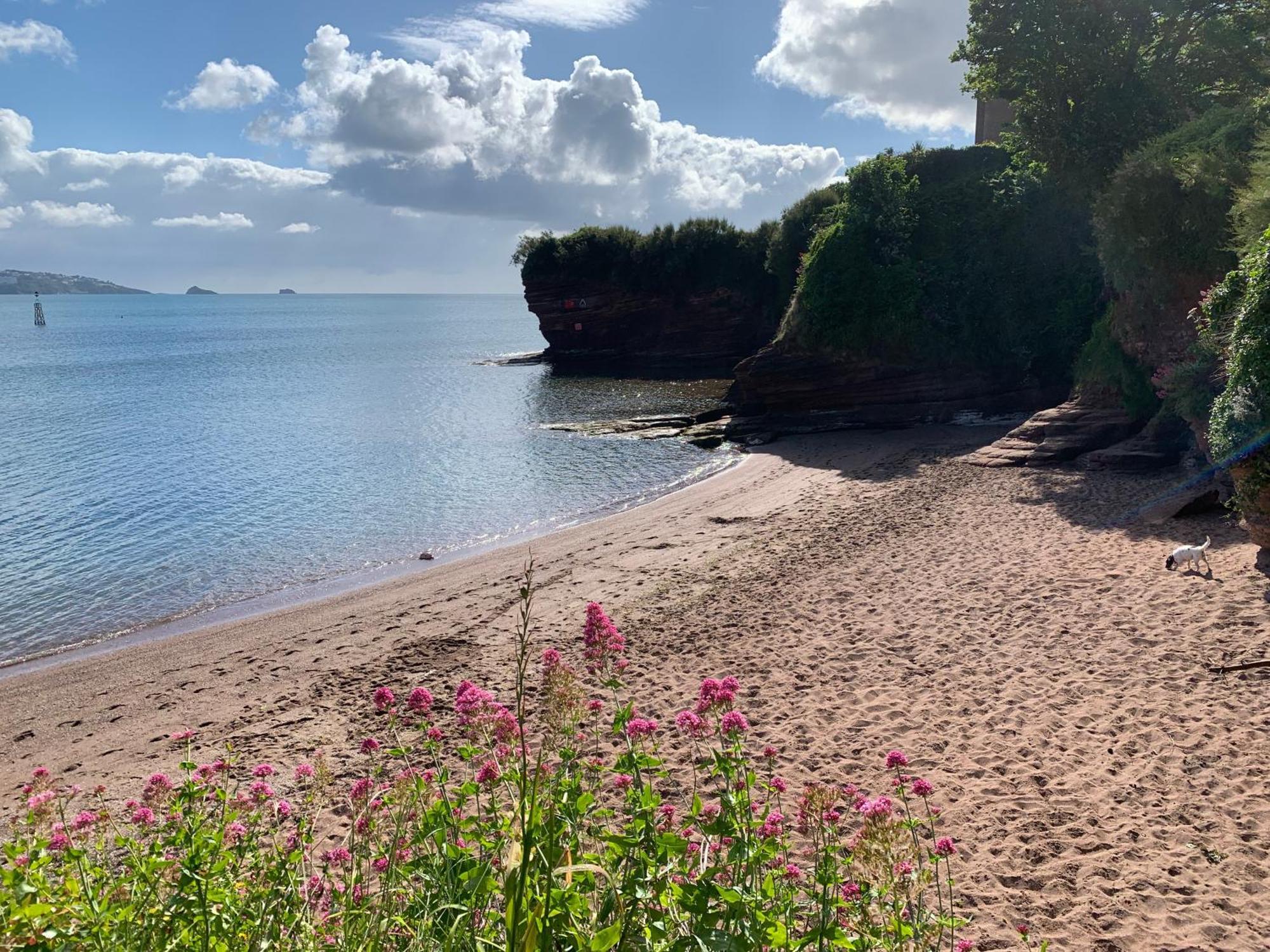 Hotel San Brelade Paignton Zewnętrze zdjęcie